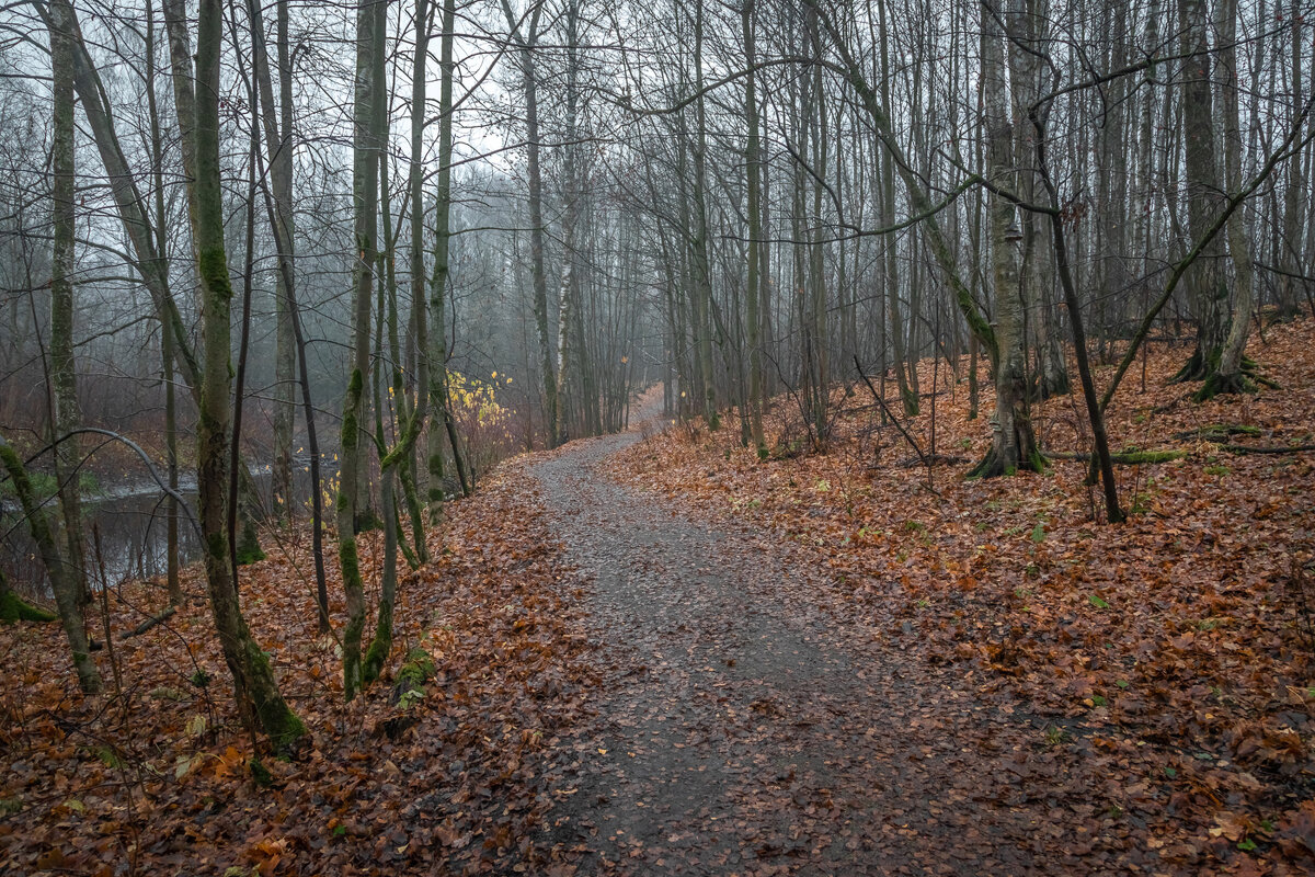 **** - Елизавета .