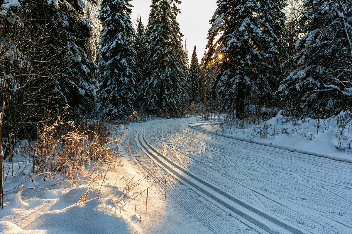 Барзасская тайга - Сергей Винтовкин