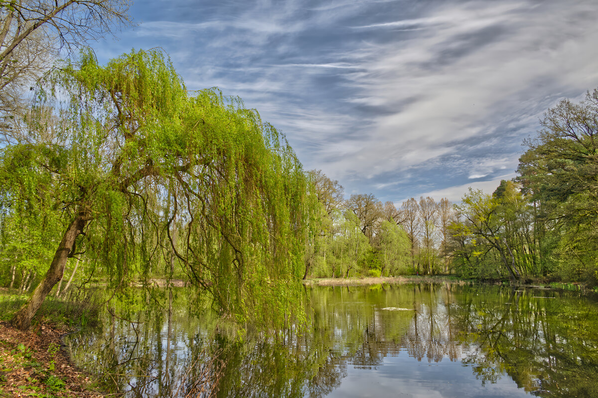 Пруд - Jakob Dick