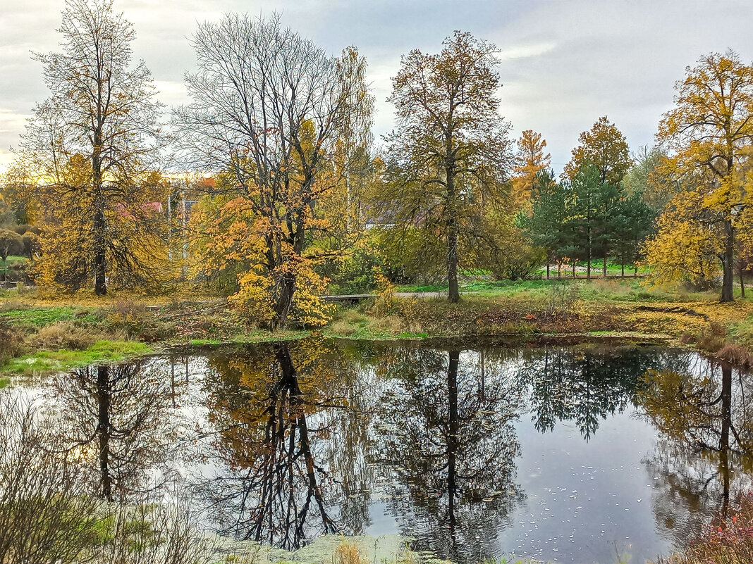 *** - El Кондукова