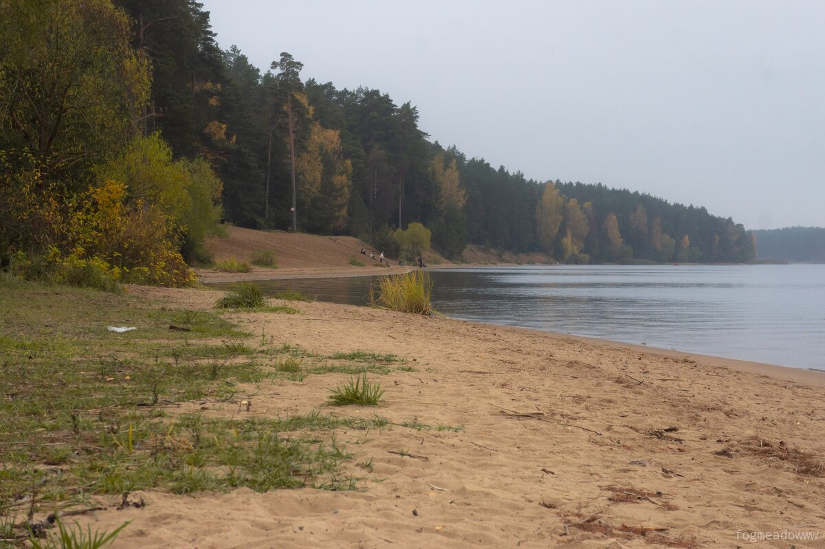 Река Волга, Конаковский бор - fogmeadowww m