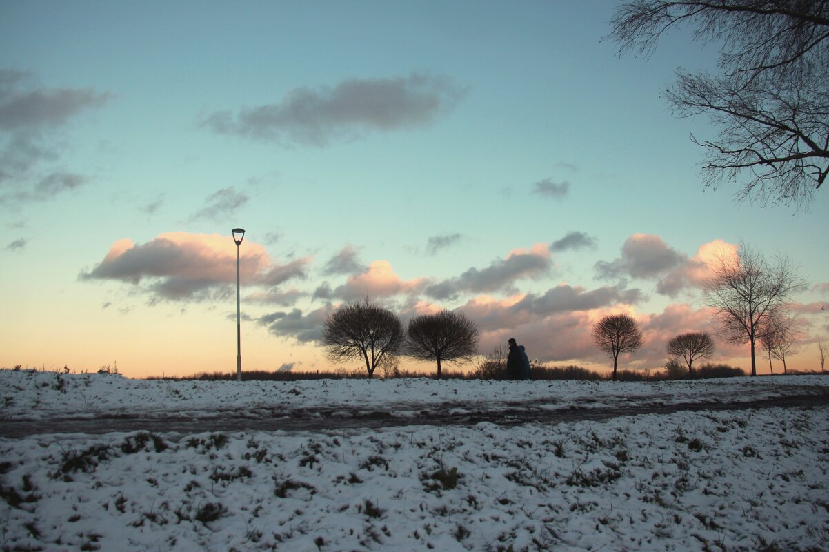 Парк Героев-пожарных. Ноябрь - Наталья Герасимова Парк Героев-пожарных. Ноябрь - Наталья Герасимова
