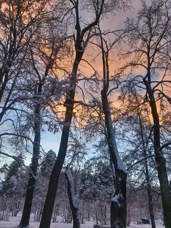 Закат - Сапсан 