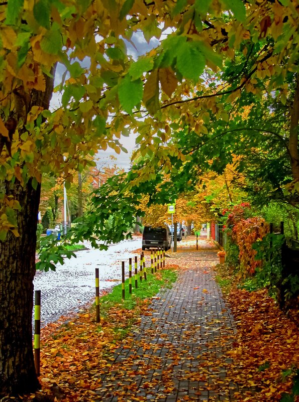 Улица Ленинградская - Сергей Карачин