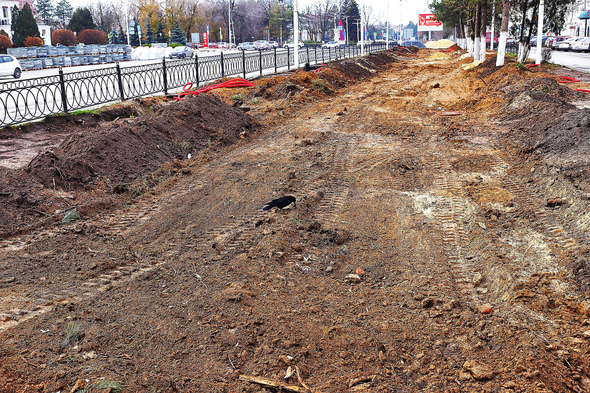 Ищут пропитание - Юрий Гайворонскiий