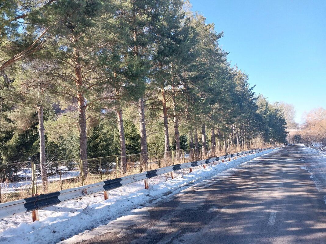 Talgar. - Murat Bukaev 