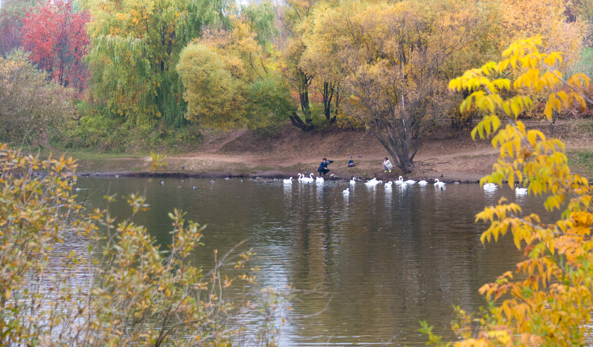 *** - Владимир Безбородов