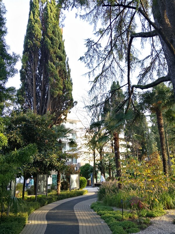 Ривьера - Tata Wolf