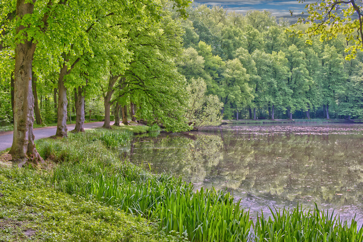 Пруд ... - Jakob Dick