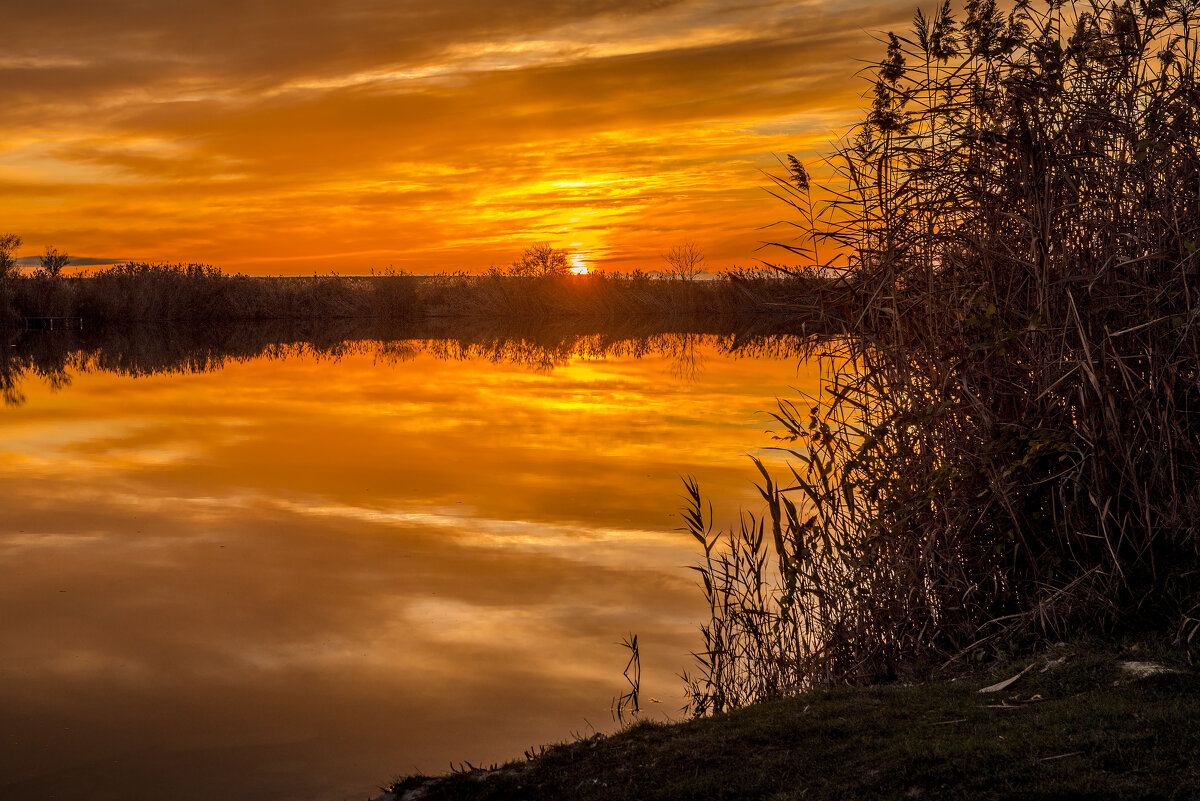 Закат. - Сергей Воротников