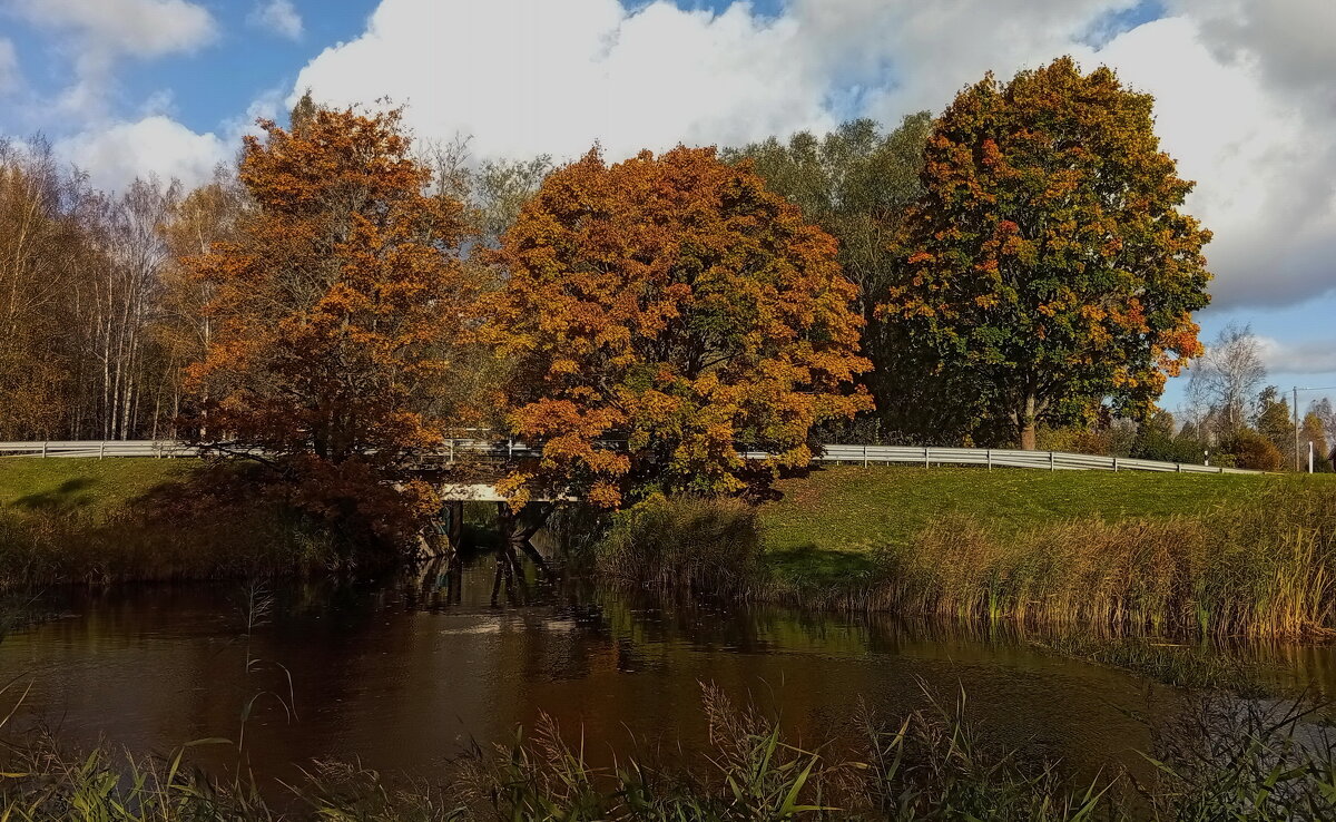 Хороший осенний день .. - Татьян@ Ивановна