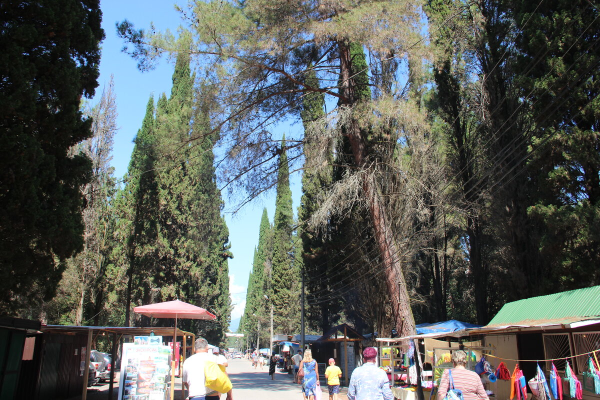 Пицунда - Serega SchütZ