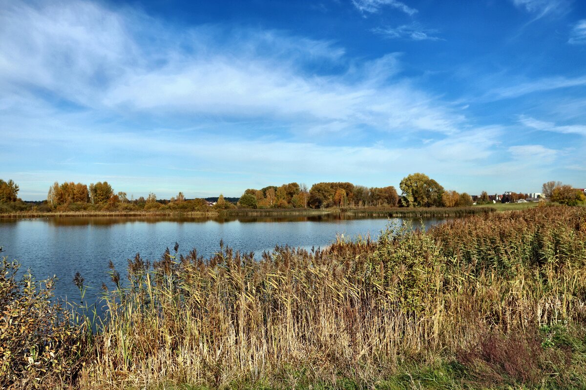 б/н - Николай 