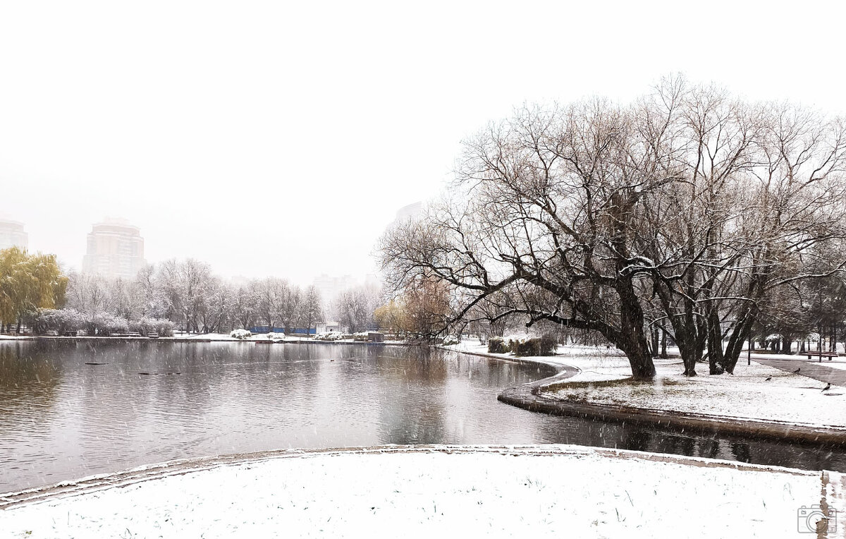 В Москве - Александр 