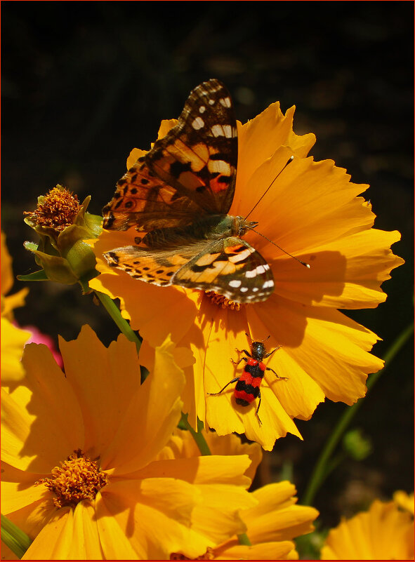 """ - Александр """ - Александр