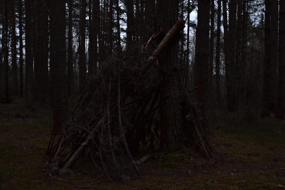 Шалаш (Светло) - SirSatorik 