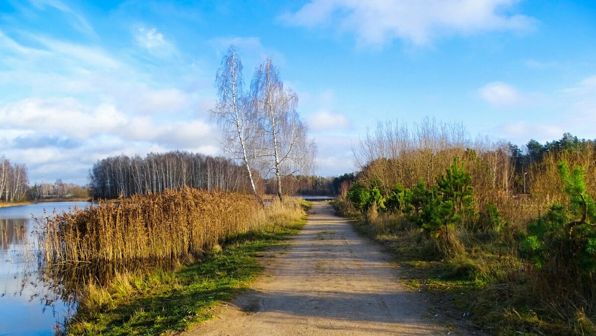 Природа Смоленщины в середине ноября. - Милешкин Владимир Алексеевич 