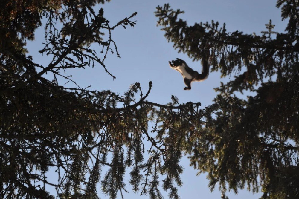 А я лечу... - Надежда 