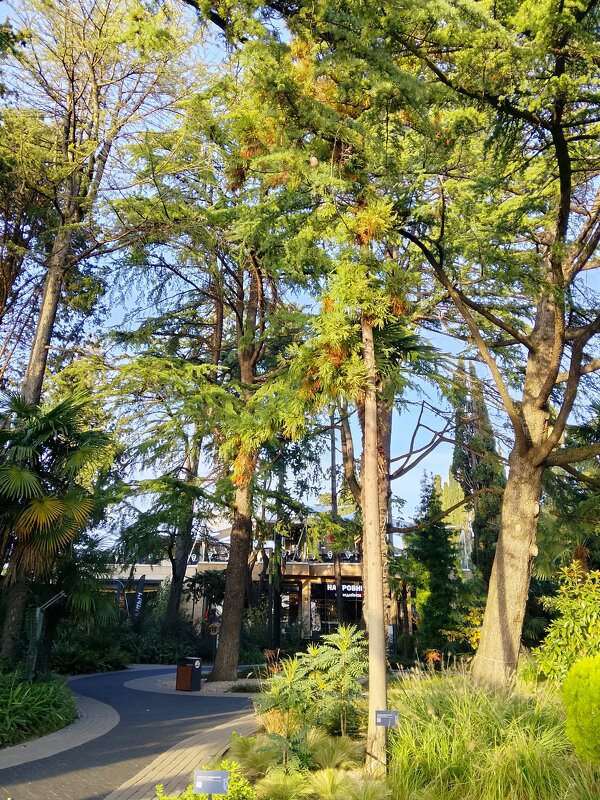 РИВЬЕРА - Tata Wolf