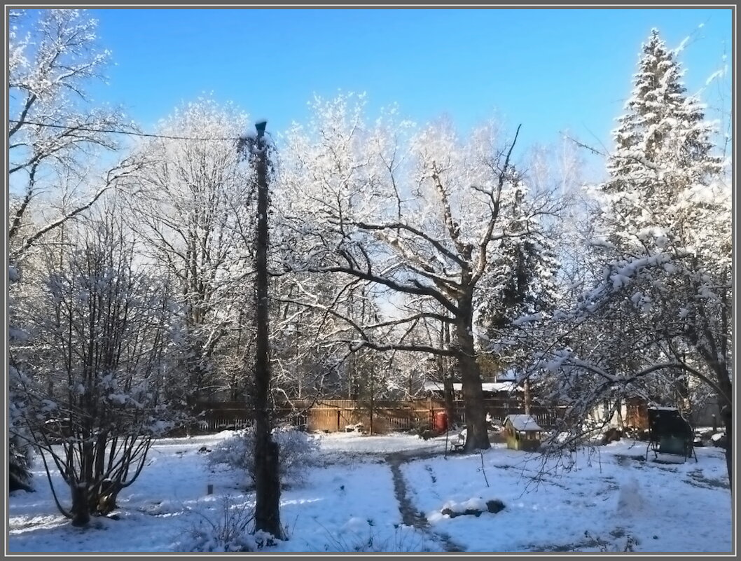 Репетиция зимы на даче - Ольга Довженко