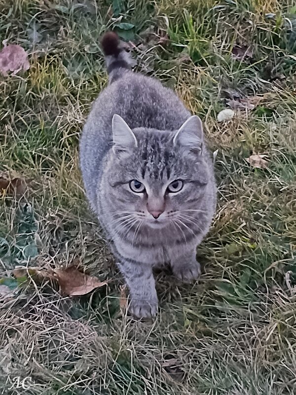 Тимофей - Любовь Сахарова