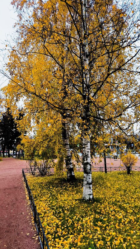 Вспоминая золотые деньки. - Ольга 