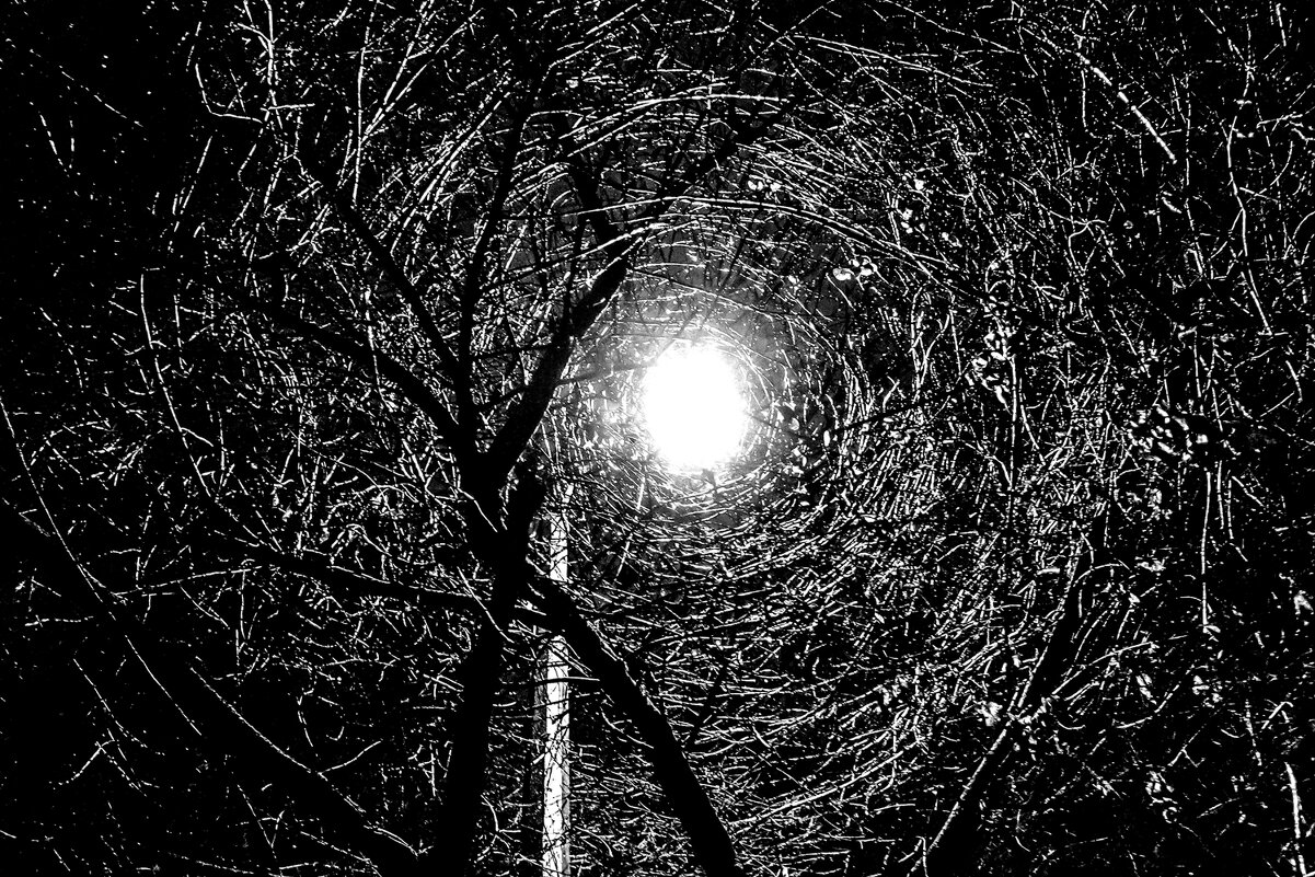 Путеводная звезда - Валерий Иванович Путеводная звезда - Валерий Иванович