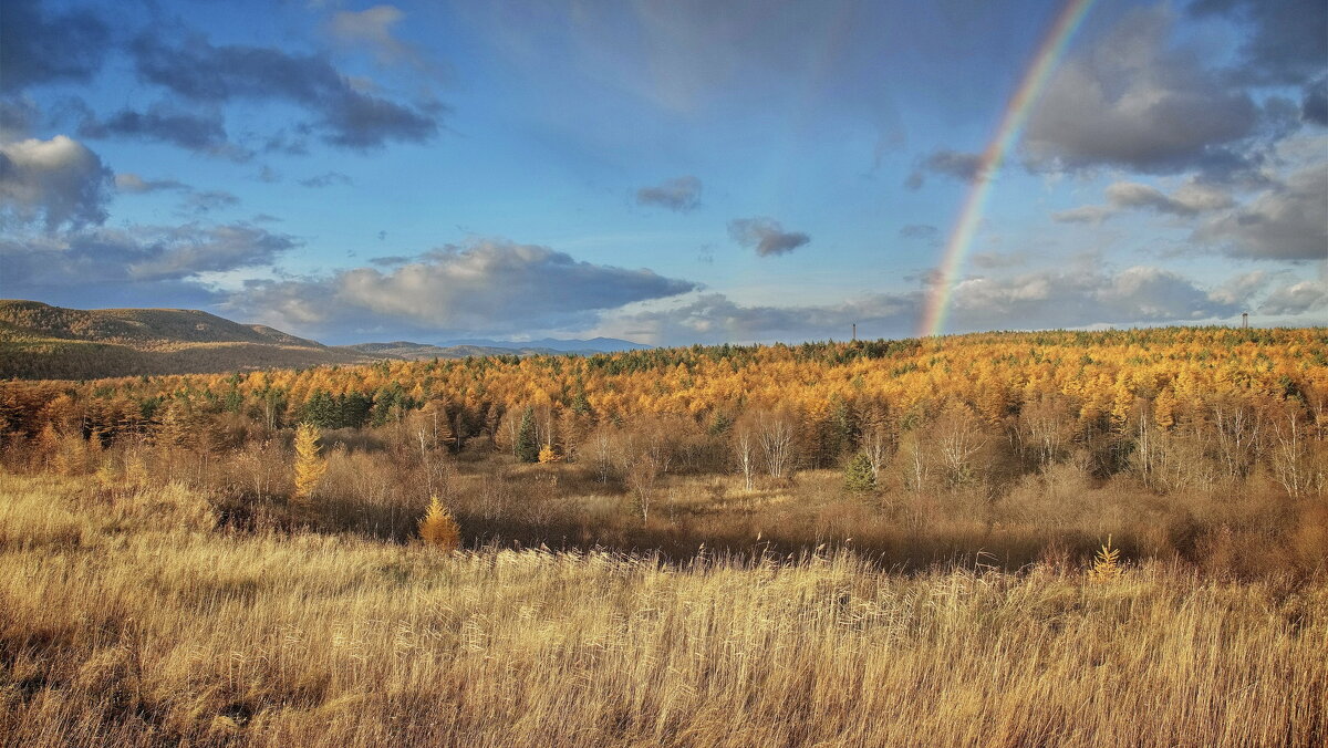 Краски последних дней октября. - fillarret-2 Краски последних дней октября. - fillarret-2