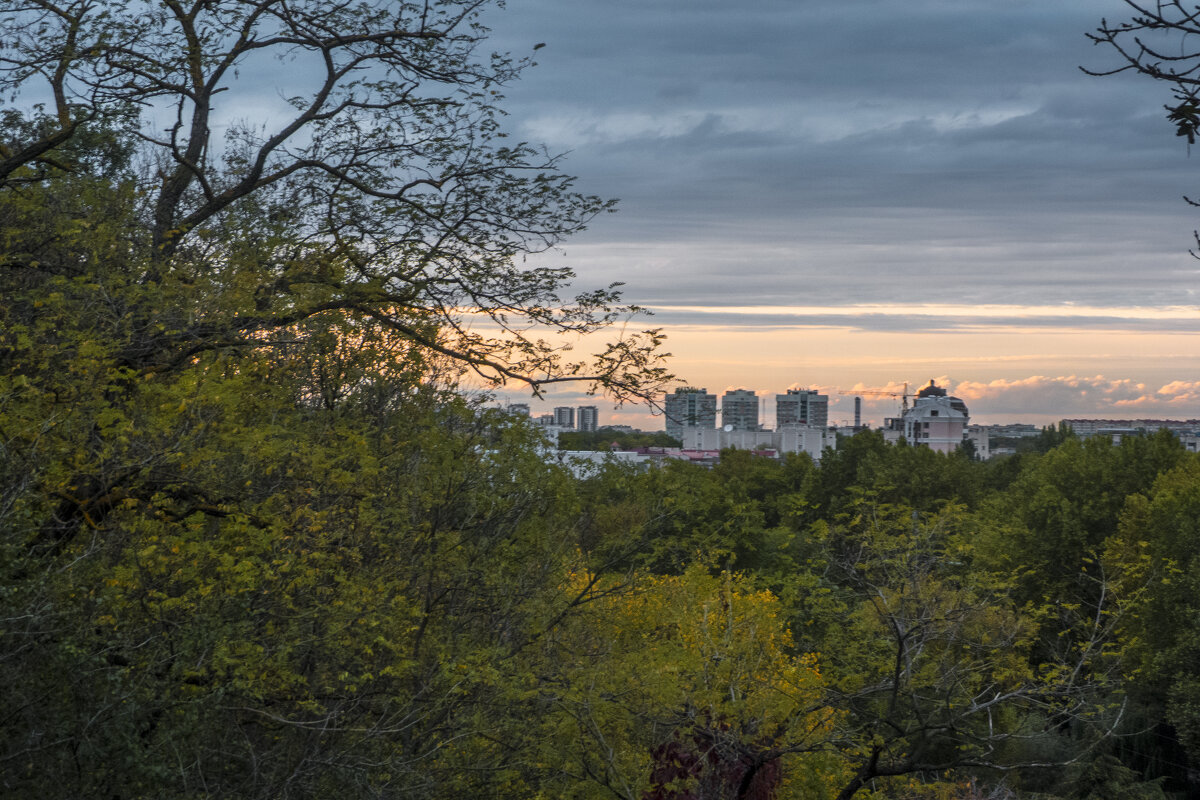 Снимок с лестницы  любви - Валентин Семчишин