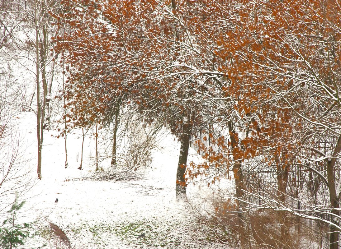 Ещё поднавалило сегодня ночью... - Юрий Куликов
