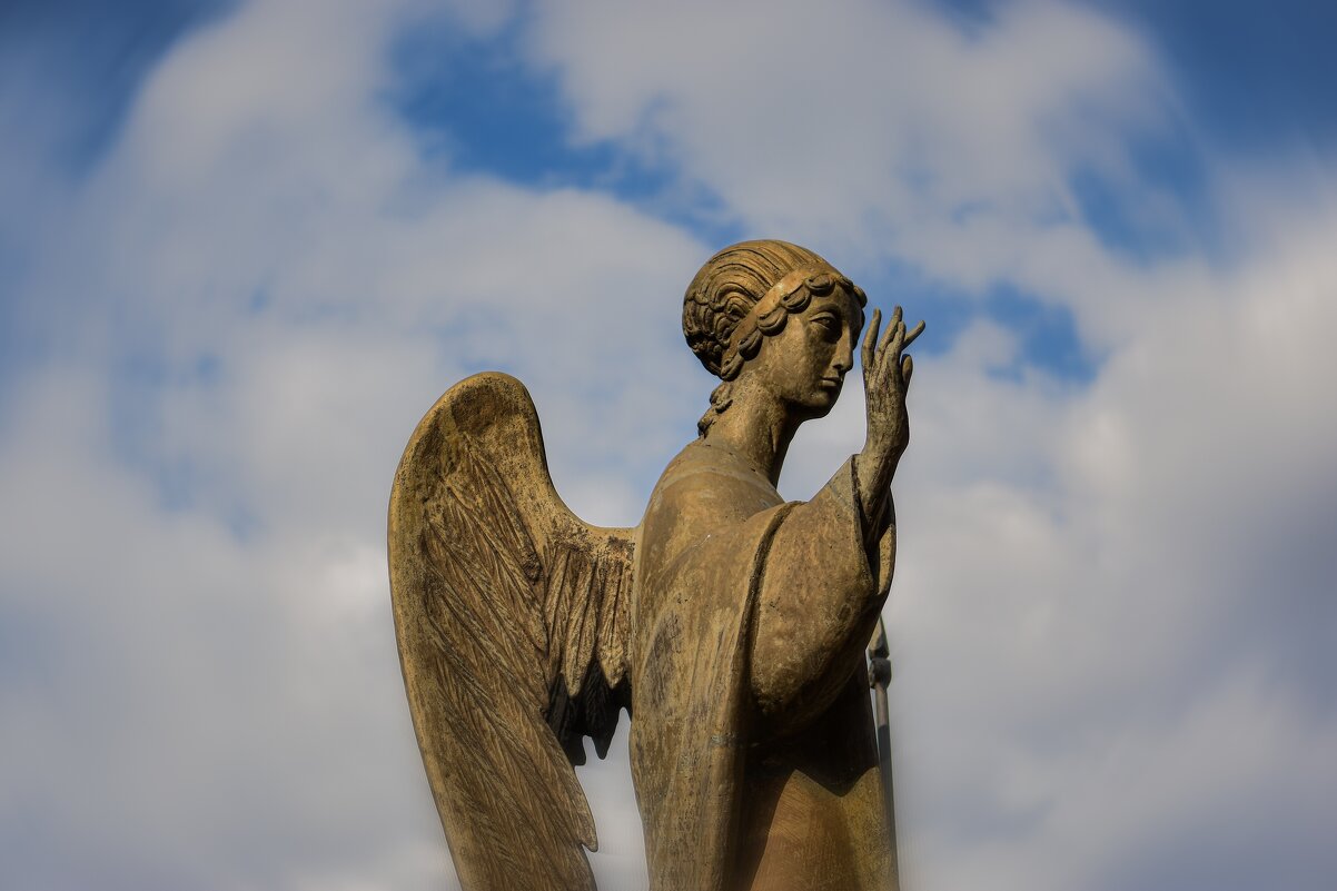 Статуя ангела - Анастасия Ильина