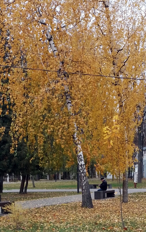 *** - Валентина Береснева