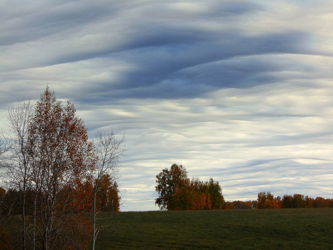 Расслоилось небо. - nadyasilyuk Вознюк