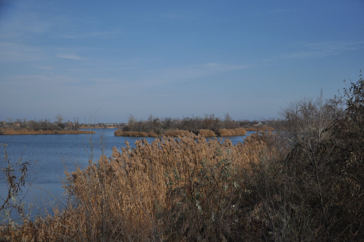 Краски осени. - Виктор 