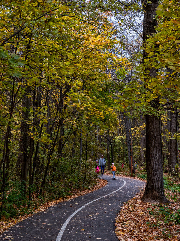 Осень... - Сергей Шатохин Осень... - Сергей Шатохин