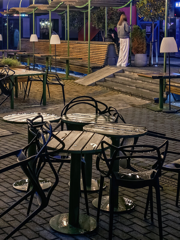 Летнее кафе закрылось... - Сергей Шатохин 