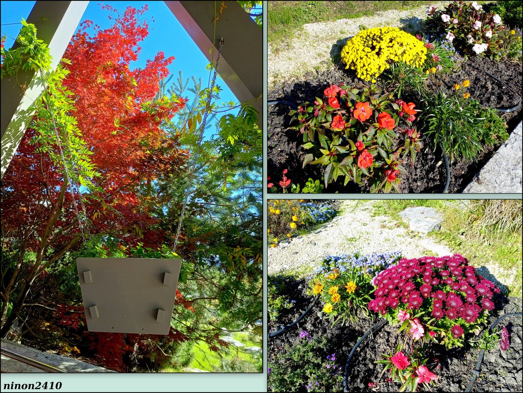 Адлер. Скайпарк - Нина Бутко Адлер. Скайпарк - Нина Бутко