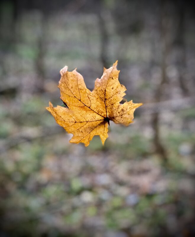 Между небом и землей… - Любовь 
