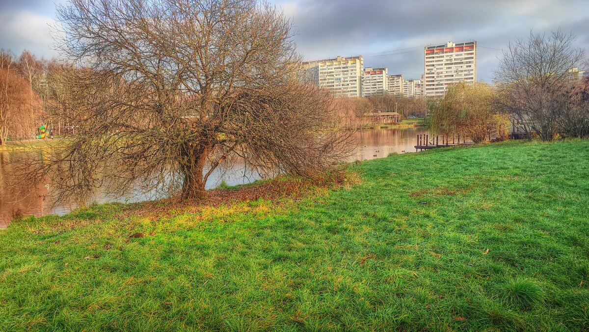 20 ноября - Наталья Лакомова