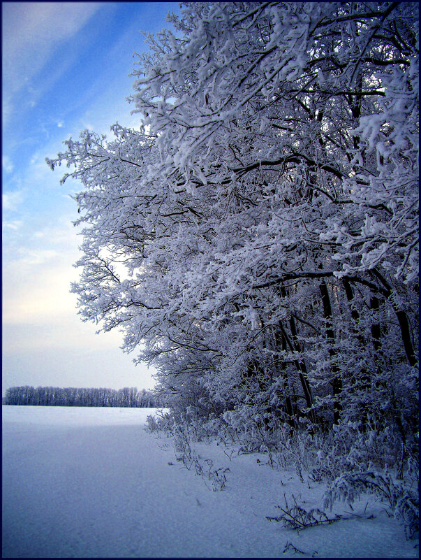 Утро. - Александр 