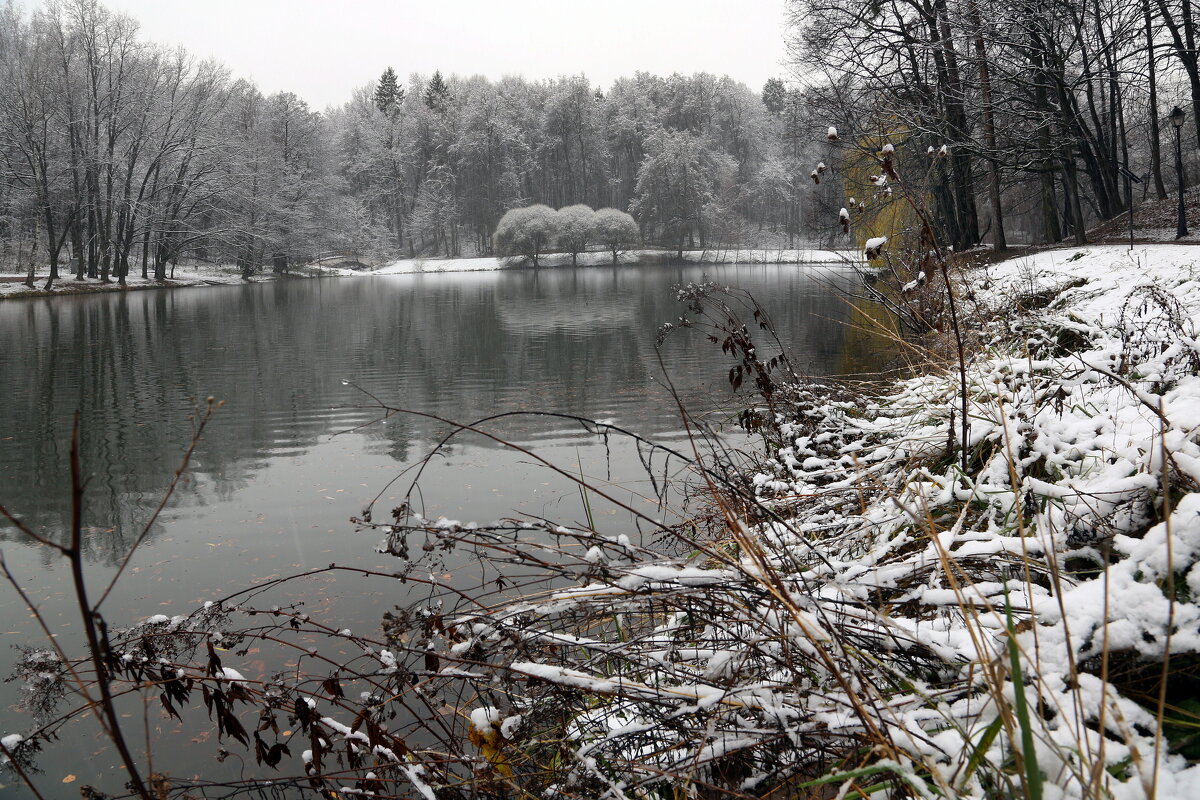 Царицыно утром 15 ноября - Михаил Бибичков