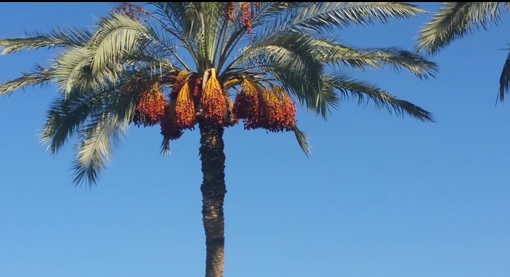 114 (147) - CLOSE WAYS ALL