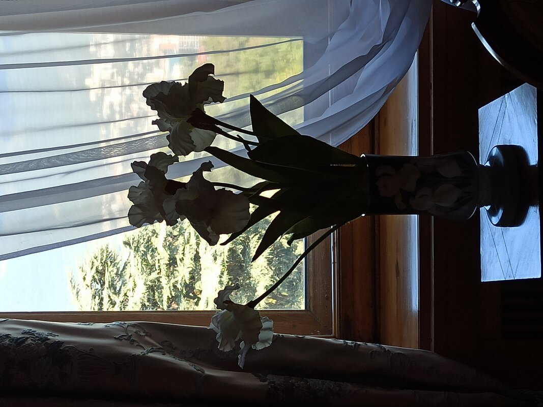 Ливадийский дворец. Крым. - Галина 