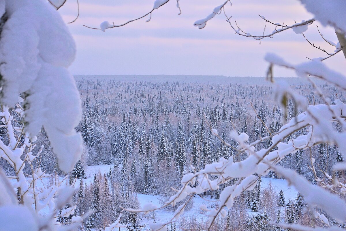 - - Владимир Мигонькин