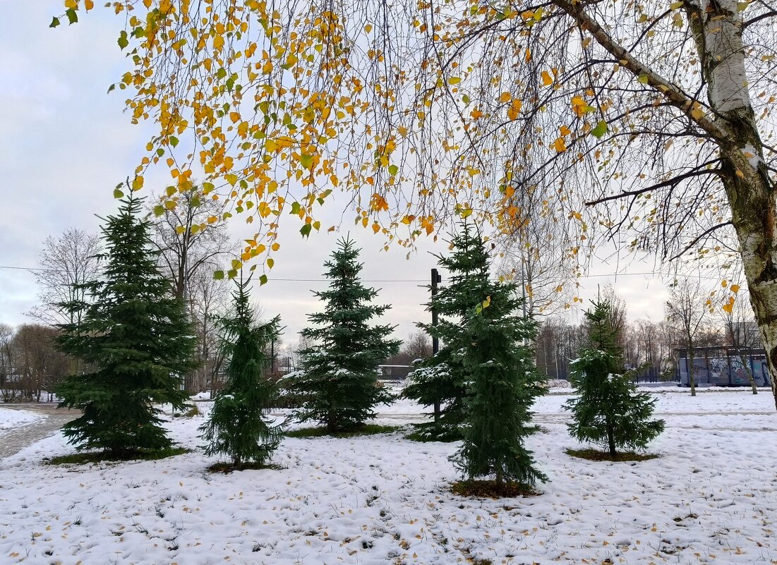Картинки ноября - Мария Васильева