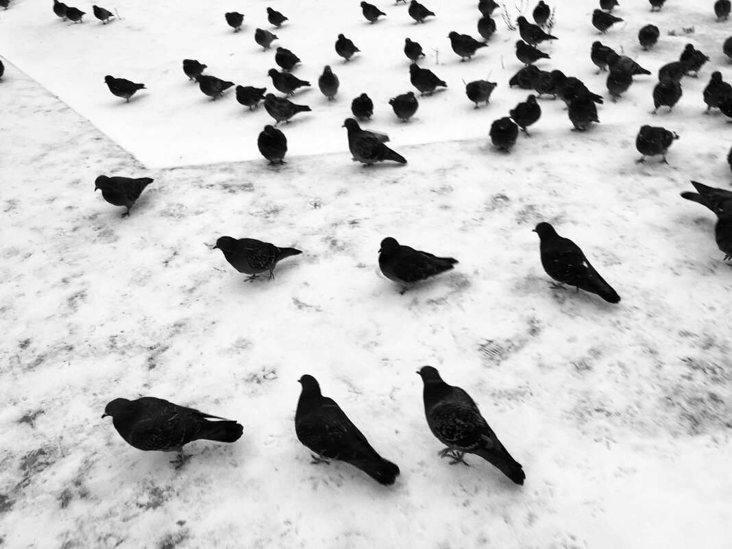 Фотография - Денис Безногов