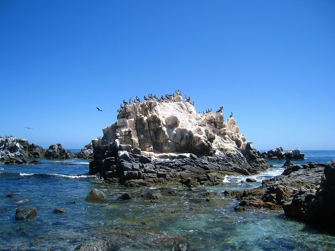 На Тихом океане. - unix (Илья Утропов)