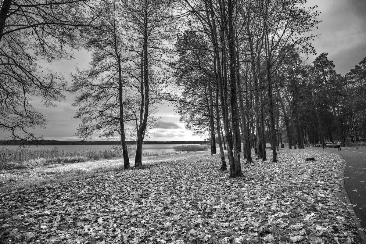 ОСЕНЬ - Николай 