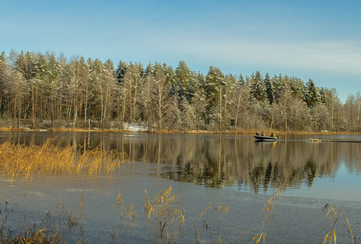 Не считая собаки. - Николай Не считая собаки. - Николай