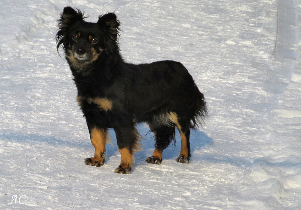 На позитиве - Любовь Сахарова